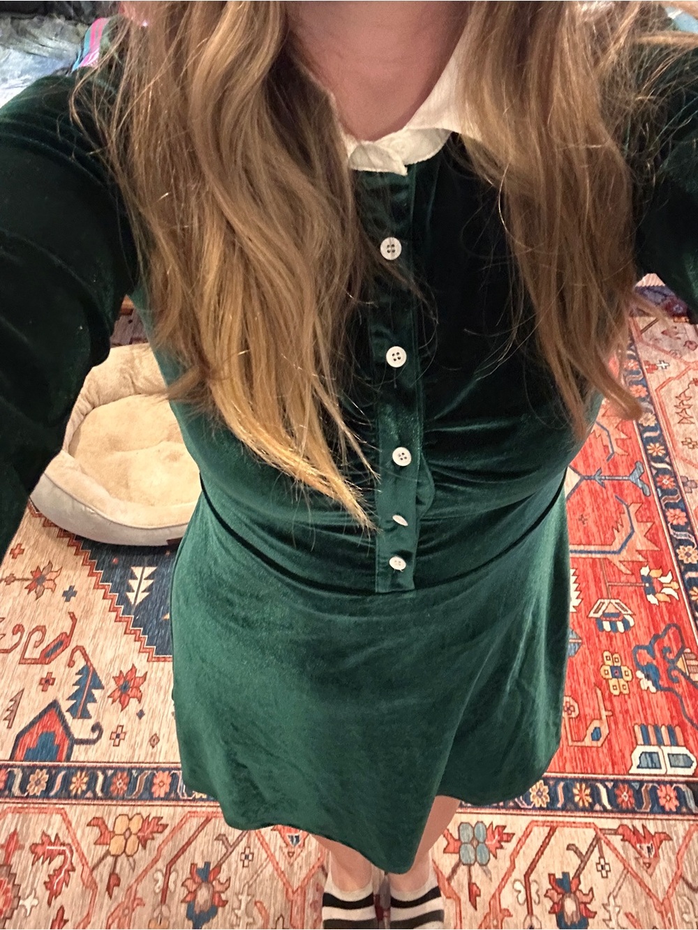 Emerald Green Velvet Peter Pan Collar Dress